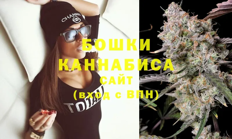 Каннабис OG Kush  Апрелевка 